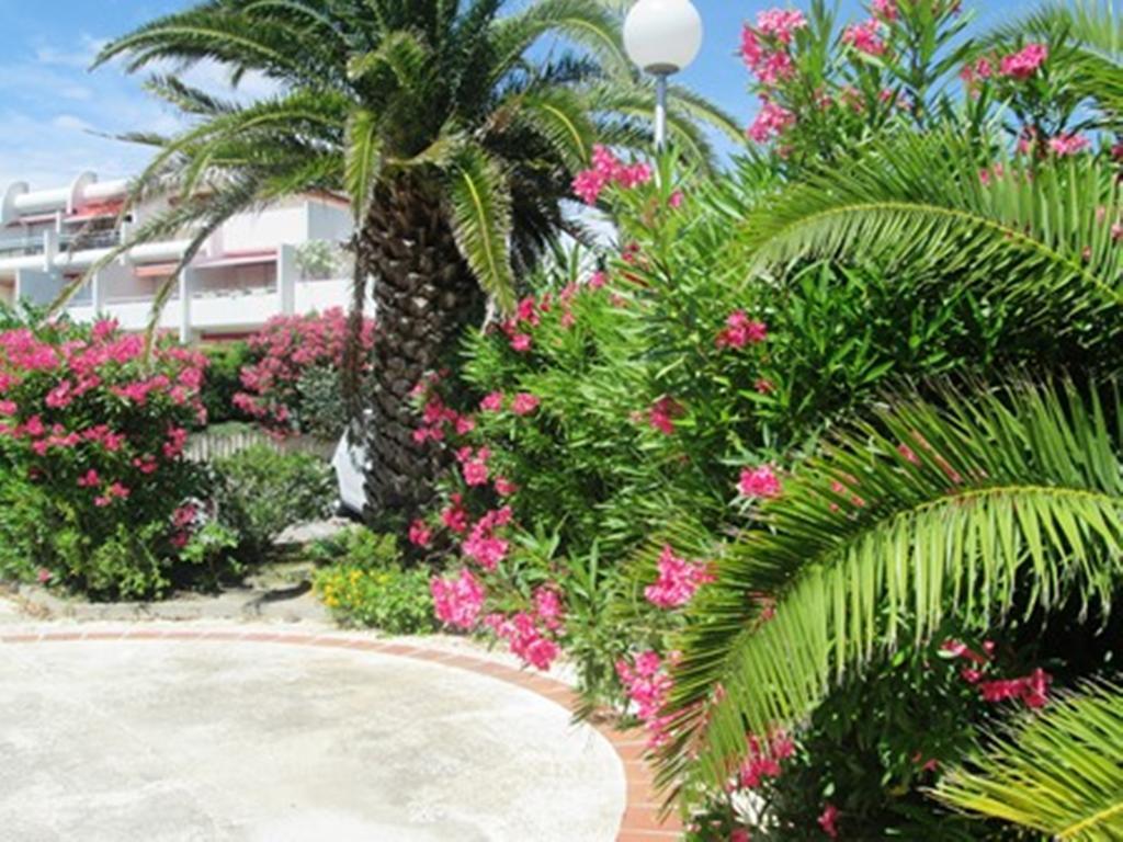 Vittoria Immobilier 12 -Reglement Sur Place - Cheques Vacances Acceptes La Grande-Motte Exterior foto